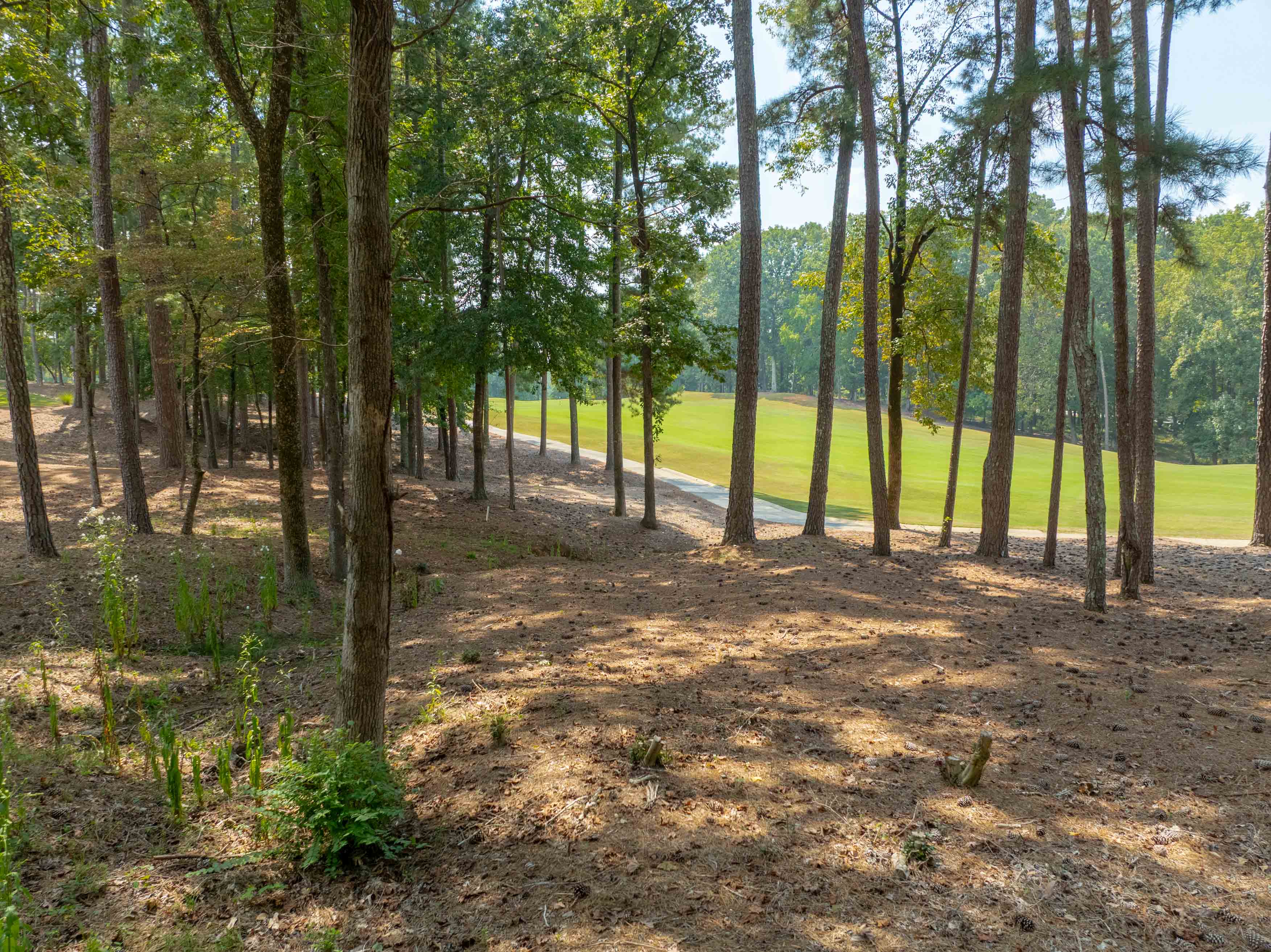 1011 Kimbrough Hill Drive image 6